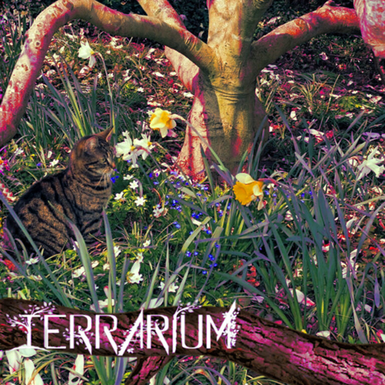 New release : Terrarium