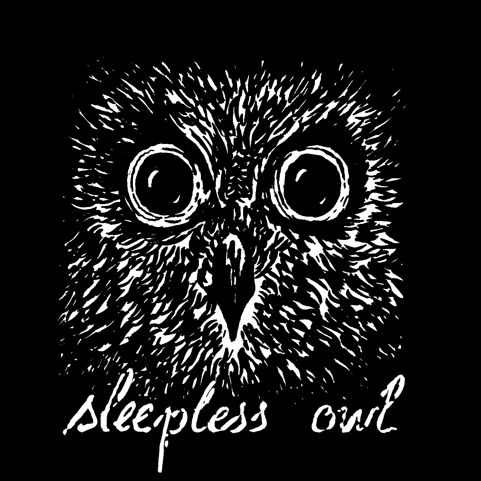 sleeplessowlrecords.com